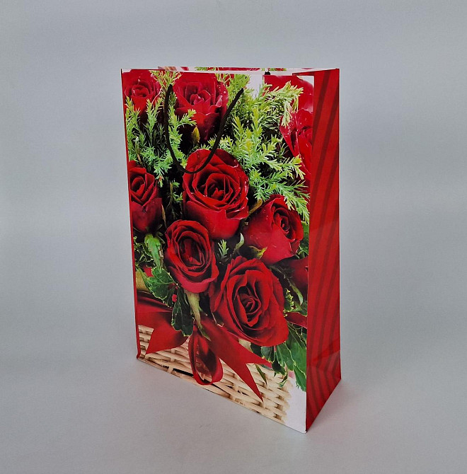 Гиганты вертикальные(30х42х12)(артGV-003) (12 шт) Харьков - изображение 1