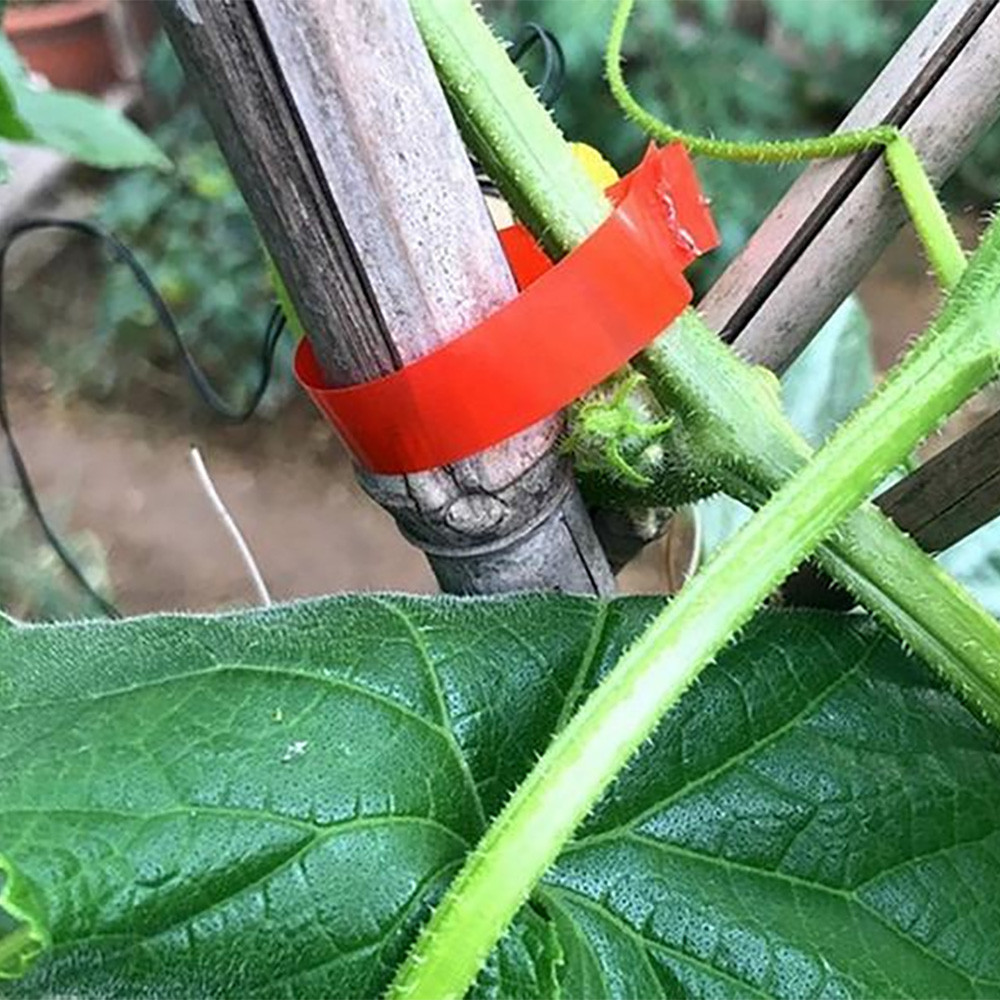 Степлер для подвязки растений Tapetool + Подарок Лента для степлера 26м, 1 шт / Степлер садовый для винограда Киев - изображение 6