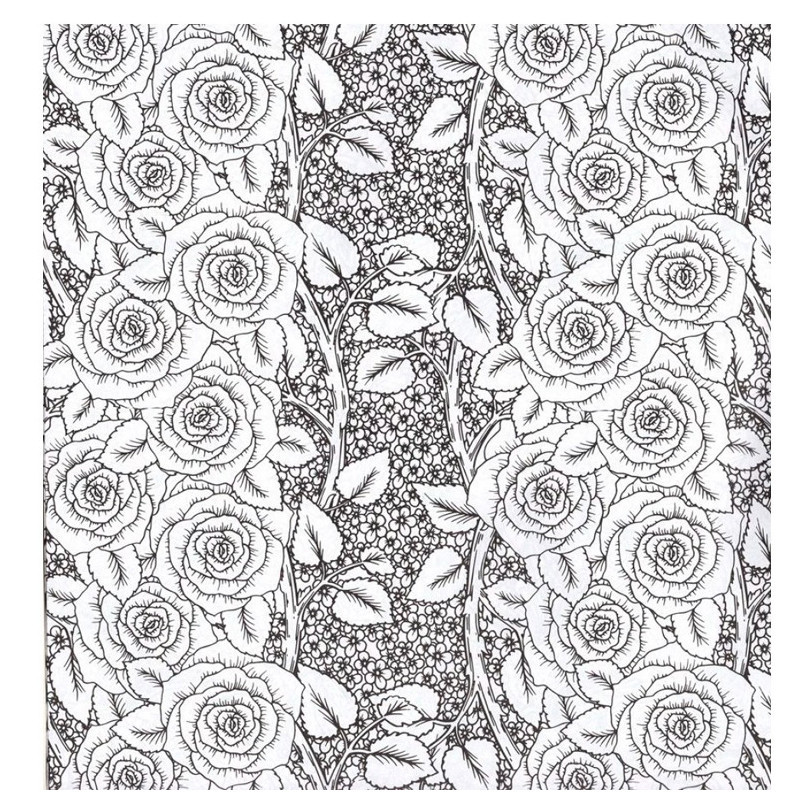 Розмальовка-антистрес "Florista" RI16051805, 24 сторінки Вінниця - фото 4