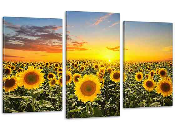 Модульна картина Природа Соняшники (53х100см) Art-51_3 Київ