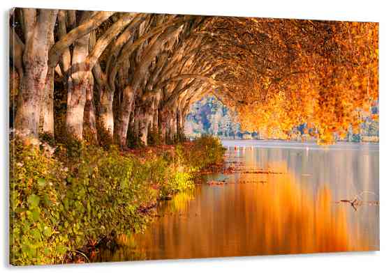 Картина холст у вітальню / спальню    Природа   MLP_69 ( 60х30см ) 40x80 см Київ