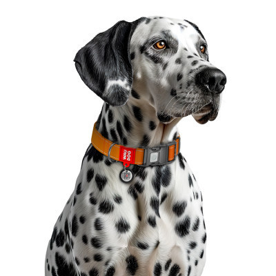 Нашийник для тварин WAUDOG Nylon Mono з QR паспортом, пластиковий фастекс S помаранчевий (52094) Вінниця - фото 4