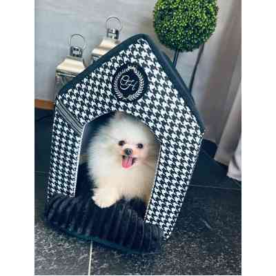 Домик для животных Chloe's Home Positano M черный (CLH4579) Винница