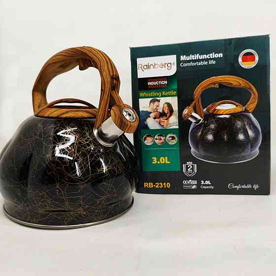 Чайник из нержавеющей стали с пищалкой Rainberg, Чайник для газовых плит для газовой комфорки SX-66 Львов