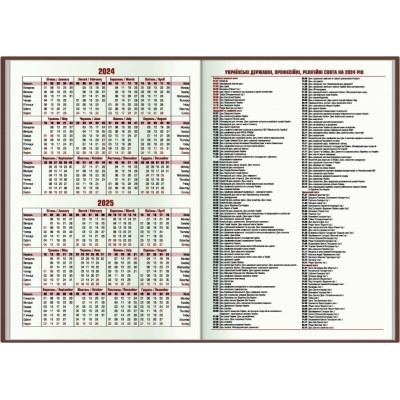 Еженедельник Economix датированный 2024 PRINCIPE розовый, А5 (E21690-09) Винница - изображение 4