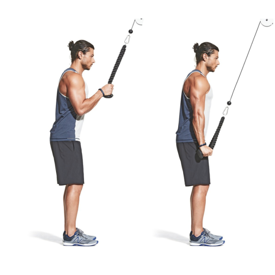 Канат для тяги York Fitness подвійний хват на трицепс з обертовим підвісом, хром Киев