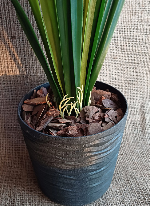 Штучна латексна орхідея цимбідіум у пластиковому кашпо малинова Дніпро - фото 3