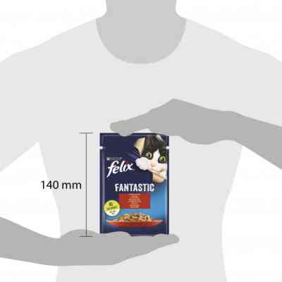 Вологий корм для кішок Purina Felix Fantastic з яловичиною в желе 85 г (7613039838624) Вінниця