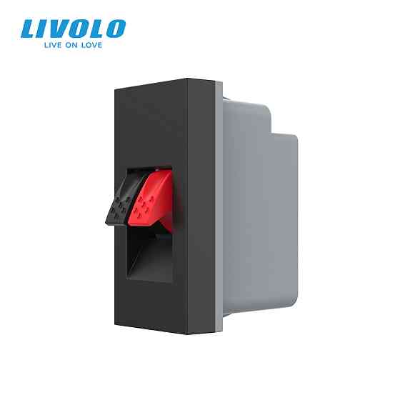 Hi-Fi аудіо розетка LIVOLO (Banana), чорна, для колонок і підсилювачів, модуль 0.5 поста (VL-FCSD-1BPS01) Коломыя