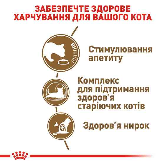 Вологий корм для літніх котів ROYAL CANIN AGEING 12+(від 12 років) 0.085 кг Київ