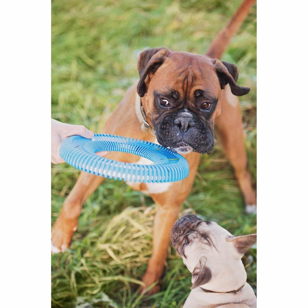 Летающий диск Chuckit! Rugged Flyer игрушка для больших собак, размер L Винница - изображение 2