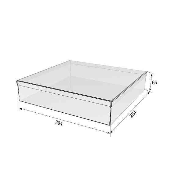 Коробка акриловая EKOSTAR 304х284х65 с крышкой Киев