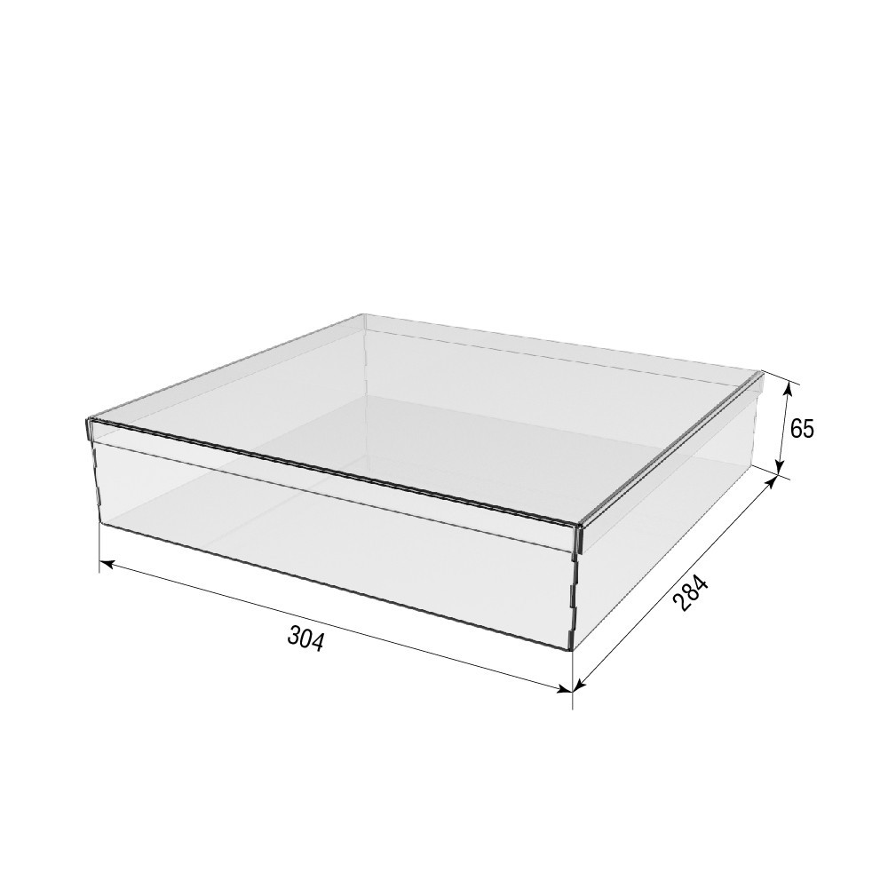 Коробка акриловая EKOSTAR 304х284х65 с крышкой Киев - изображение 4