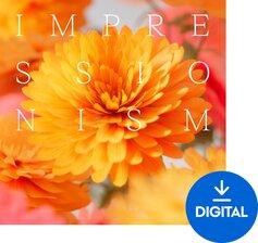 Ударная установка  Spitfire Audio Impressionism (Produkt cyfrowy) Киев - изображение 1