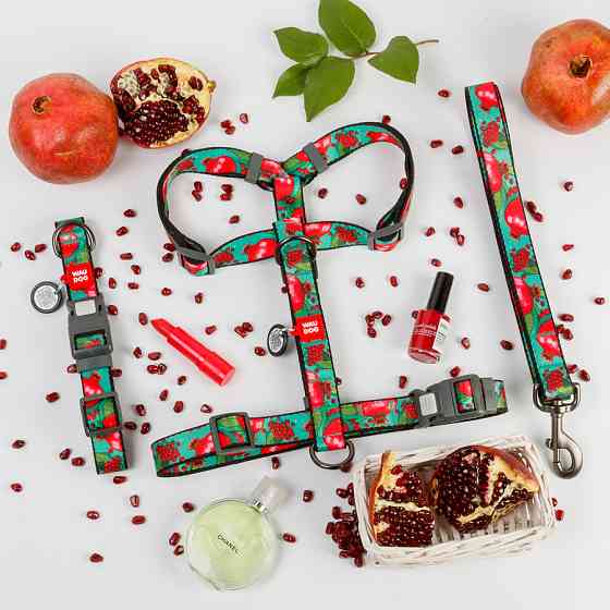 Нашийник для собак нейлоновий WAUDOG Nylon з QR паспортом, малюнок "Гранати", пластиковий фасте Коломыя