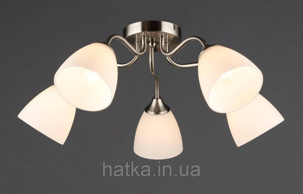 Потолочный светильник на 5 плафонов N6631/5 Киев - изображение 1