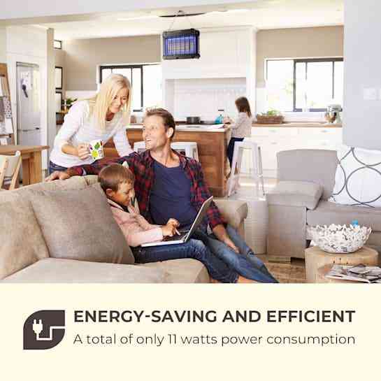 Уничтожитель насекомых Waldbeck (Германия) Ровно