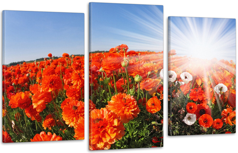 Модульна картина Квіти Маки Art-19_3 Київ - фото 1