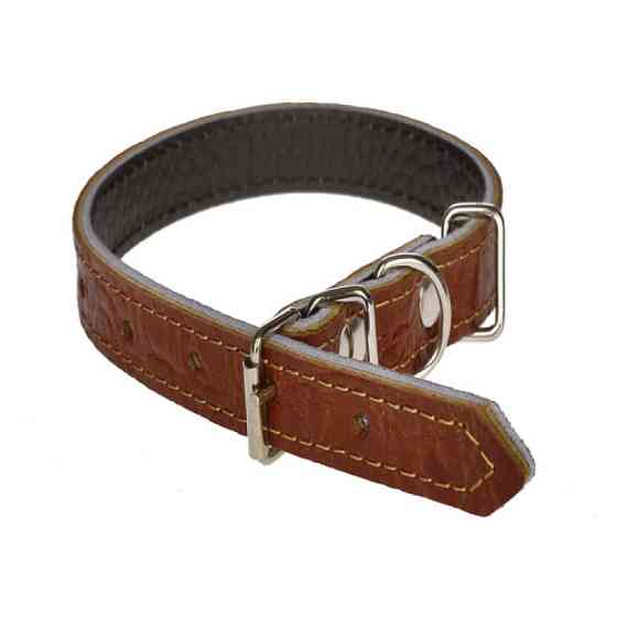 Нашийник 155 15мм "Рептилія" шкіряний подвійний Вінниця