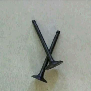 Клапани (пара, голі) мотоблок /ZH1100 (15Hp) Мукачево - фото 1