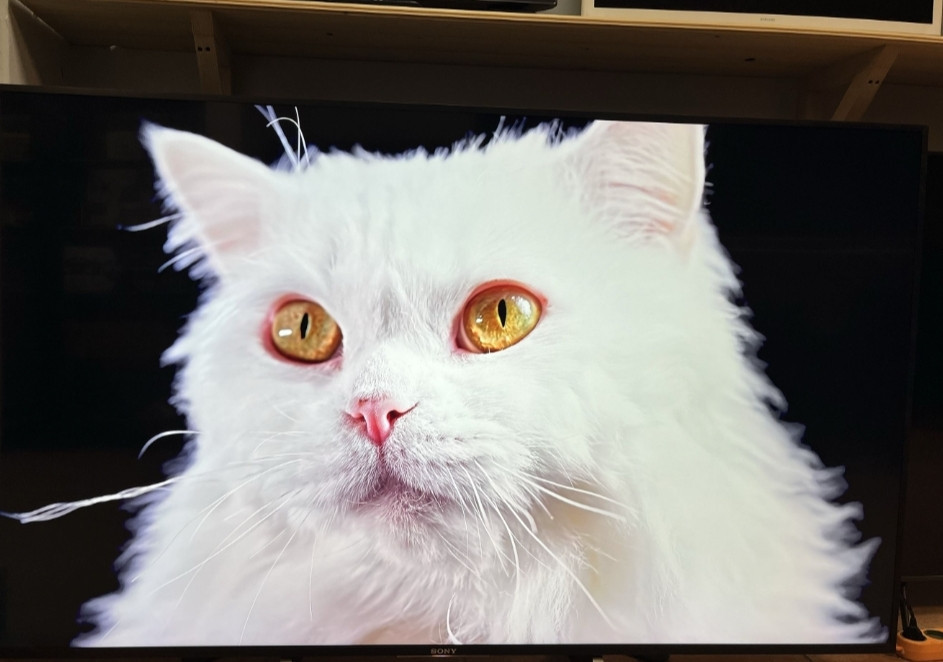 Телевізор Sony Bravia KD-65XE8505 65 дюймів Харків - фото 6