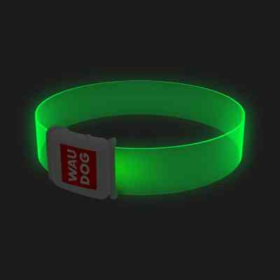 Ошейник для животных WAUDOG LED с подсветкой, магнитная застежка, Д 35 см (5276) Винница