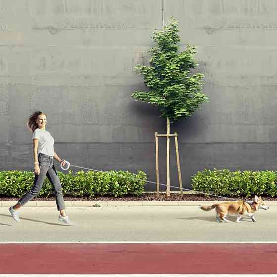 Повідець-рулетка для собак WAUDOG R-leash, кругла, XS-M, до 40 кг, 2,9 м, світловідбиваюча стрі Коломия