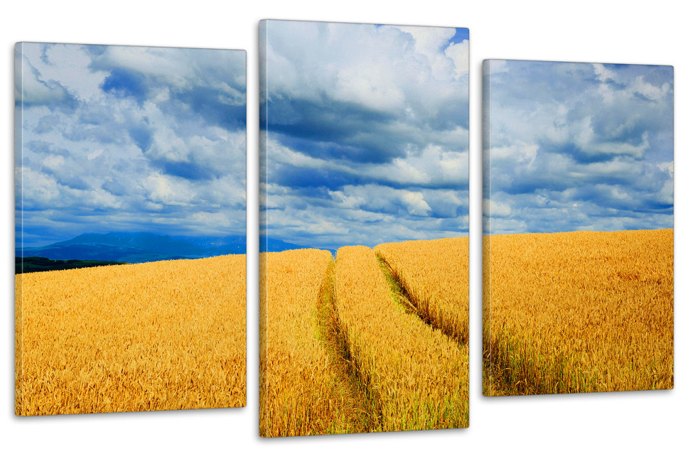 Модульна картина у вітальню/ спальню Поле пшениці Art-678_3 100x150 см Київ - фото 1