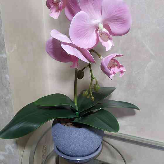 Штучна латексна орхідея VIP у сірому керамічному кашпо на одну рожеву гілку Дніпро