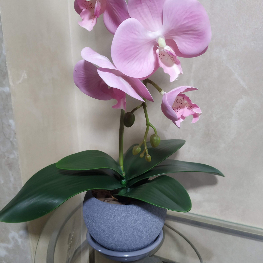 Штучна латексна орхідея VIP у сірому керамічному кашпо на одну рожеву гілку Дніпро - фото 3