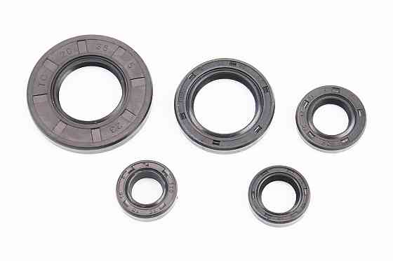 Сальники к-кт 5шт (10x18x5; 12x18x5; 12x21x4; 20x30x4,5; 20x38x5) двигуна Київ