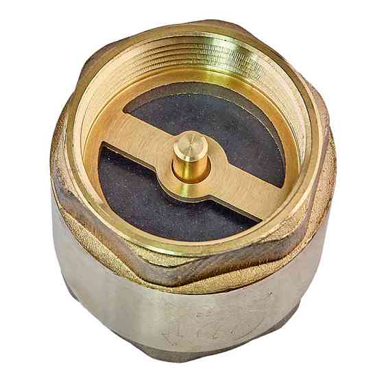 Клапан обратный (латунь) Waterpro WP300-40 - 1 1/2