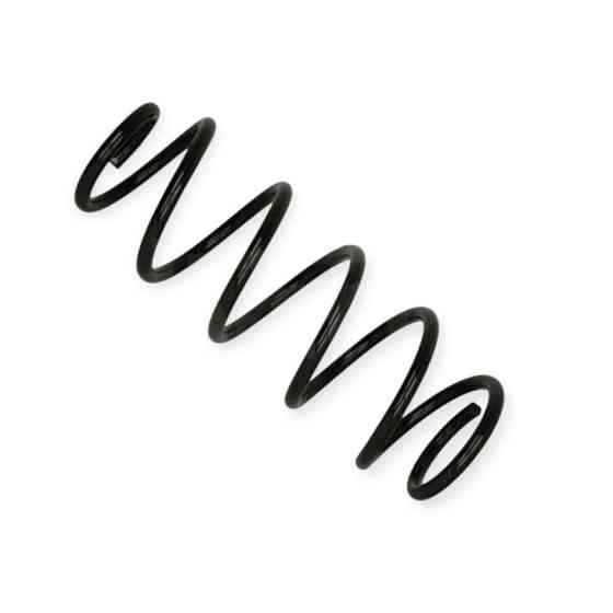 Пружина Peugeot 407 2.0HDI 04- передняя Мукачево