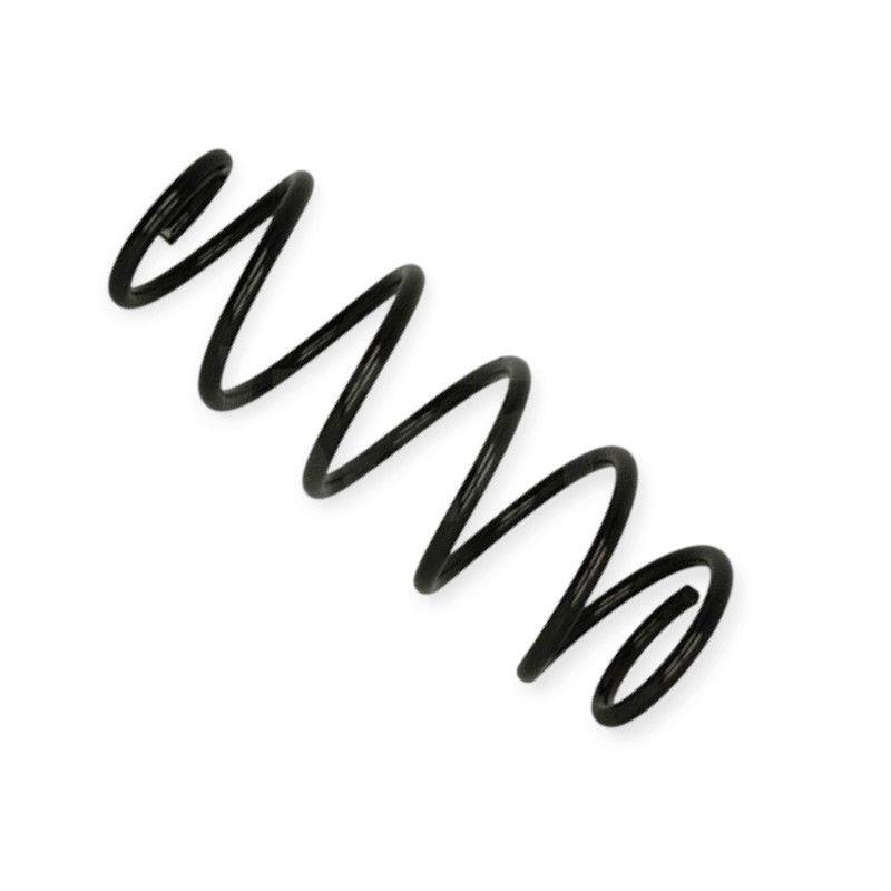 Пружина Peugeot 407 2.0HDI 04- передняя Мукачево - изображение 1