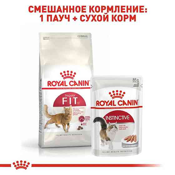 Royal Canin FIT 32 (Роял Канін Фіт 32) сухий корм для дорослих кішок від 12 місяців до 7 років Запоріжжя