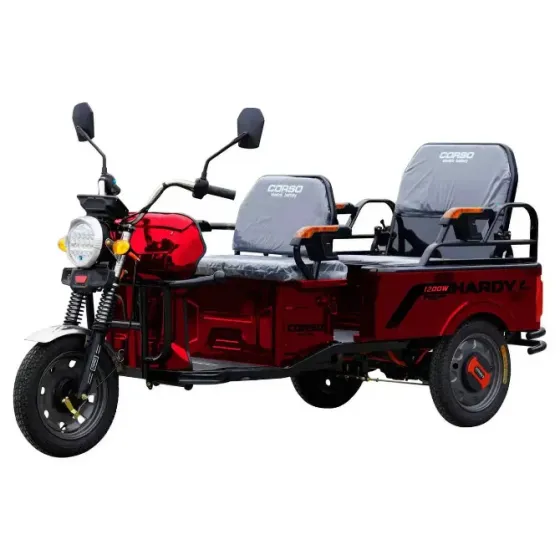 Електричний трицикл із кузовом Corso Hardy-10 S 1200W-60V-38Ah шини 12"/12" купити Aba-Opt дешево в Україні Одеса