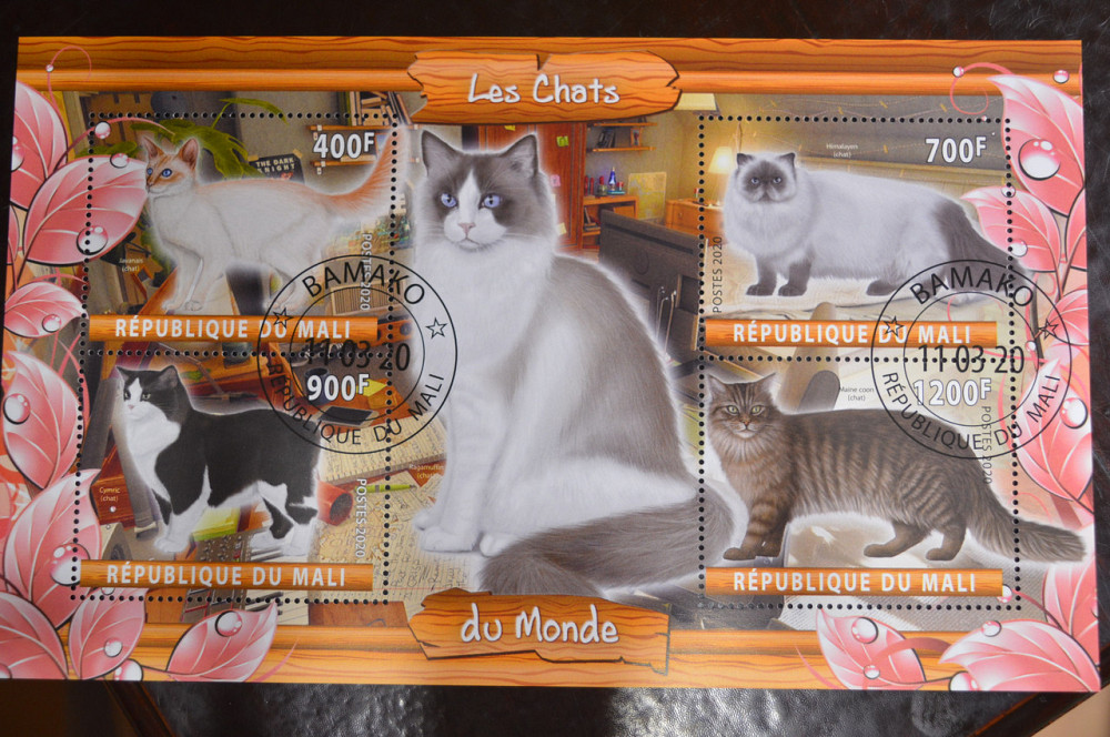 Мали. Марки. Фауна. Блок. 2020 год (В-2) Полтава - изображение 1