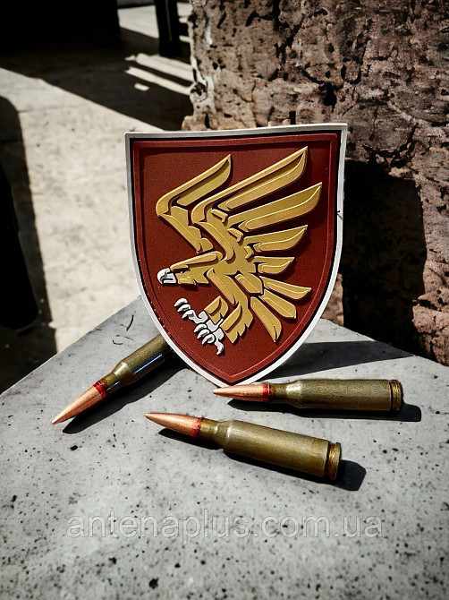 “95 ОДШБр ДШВ ЗСУ” шеврон \ патч парадний Київ - фото 6