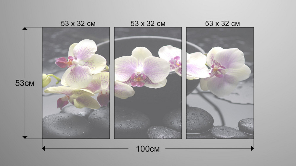 Модульна картина Орхідея Аrt-100_3А Київ - фото 3