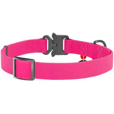 Ошейник для животных WAUDOG Waterproof с QR паспортом XL Ш 25 мм Д 35-58 см(розовый) (27847) Винница