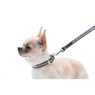 Нашийник для тварин WAUDOG Design з QR паспортом "Пончики" Ш 12 мм Д 18-24 см чорний (36861) Вінниця