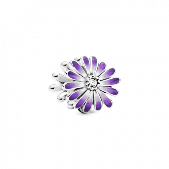 Серебряный Шарм  для браслетов Пандора    798775C02MasterSem Киев - изображение 1