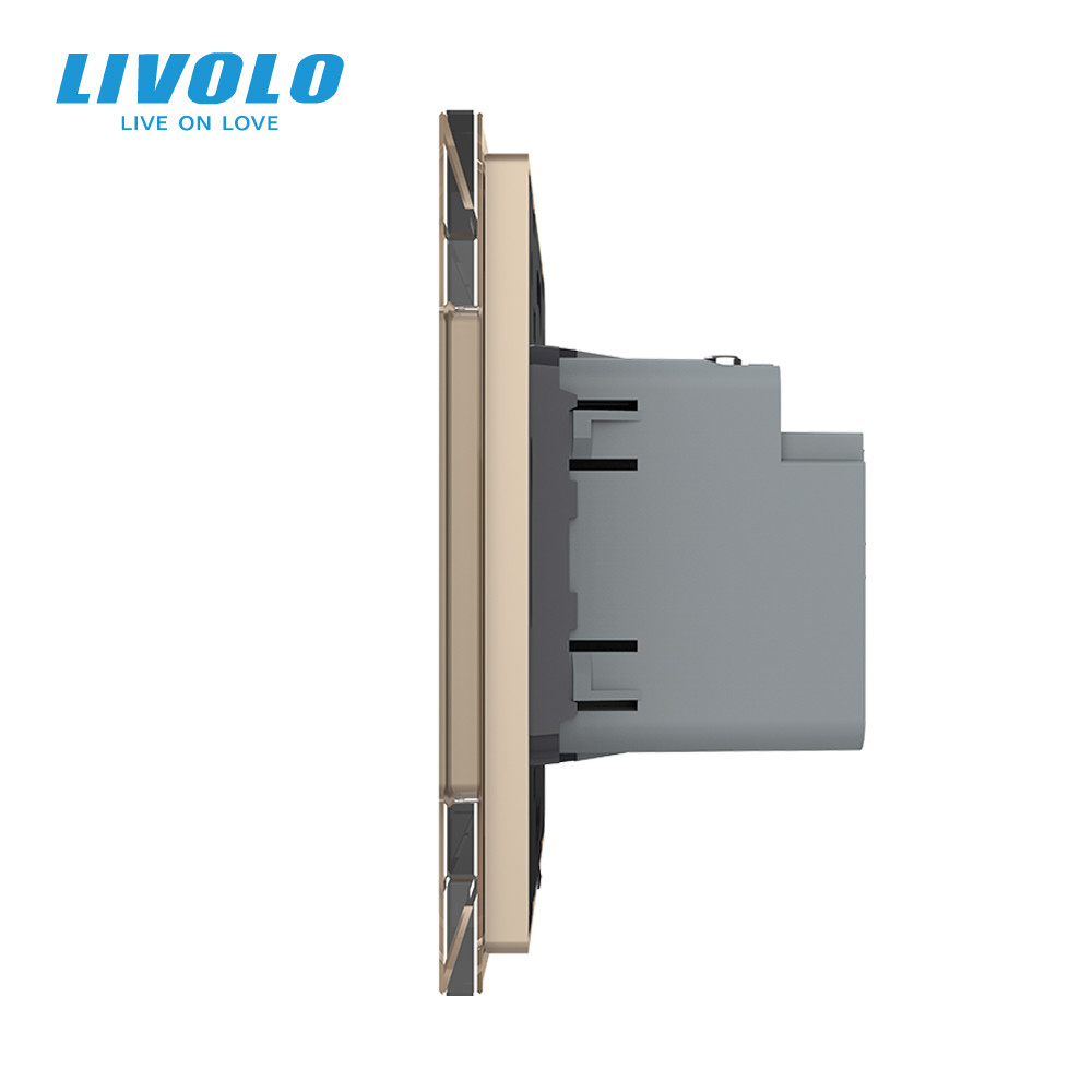Розетка USB Type-C з Power Delivery 45W Livolo золото (VL-C7-FCUC-2AP) Коломыя - изображение 5
