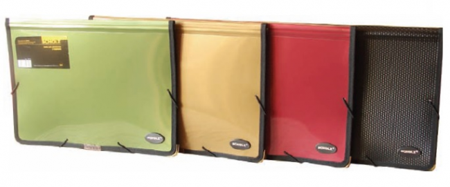 Папка на гумці А4 "Scholz" 5212 2відділення в асорт, шт Київ - фото 1