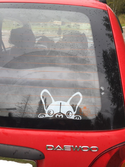 Наклейка на авто Собака Біла світловідбивна Київ - фото 3