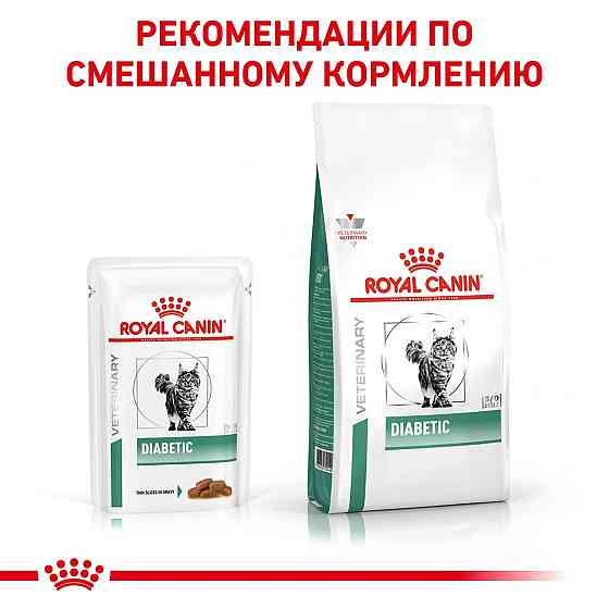 Royal Canin Diabetic (Роял Канін Діабетик Фелін) вологий корм для котів у разі цукрового діабету 0.085 кг. х 12 шт. Запоріжжя