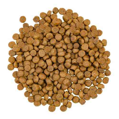 Корм сухой Savory Adult Cat Gourmand Fresh Salmon and White Fish для взрослых кошек со свежим лососем и белой рыбой 400 г Киев