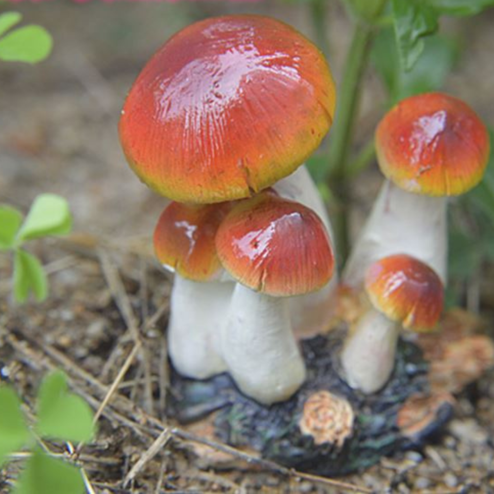 Садовые Грибы из полистоуна 5 х 4.5 х 3 см Одесса - изображение 1