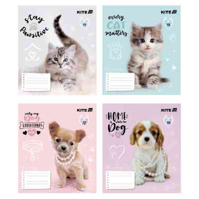 Тетрадь Kite Rachael Hale, 12 листов, косая линия (R25-235) Винница