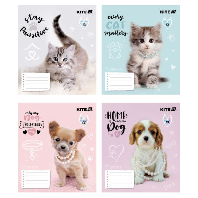 Тетрадь Kite Rachael Hale, 12 листов, косая линия (R25-235) Винница - изображение 1